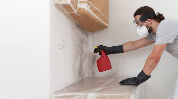 Professional Mold Removal technician working in West Orange, TX