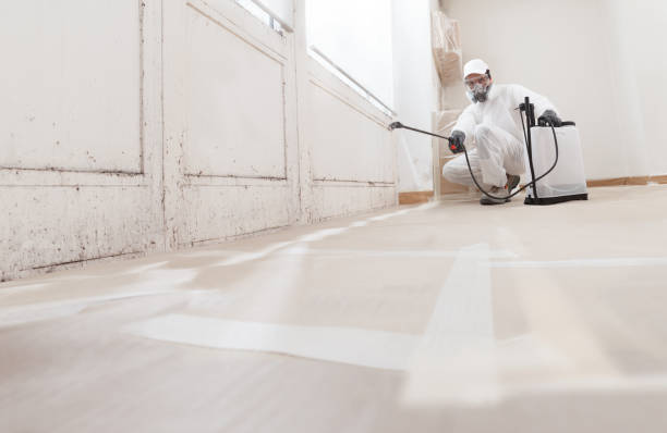 24/7 Emergency Mold Removal experts in West Orange, TX