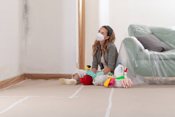 Reliable Mold Removal contractor in West Orange, TX by WQB Mold Removal